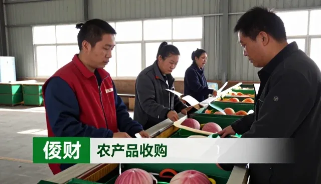 青川舒绿达农业有限公司解析有机蔬菜加工套装的发展趋势